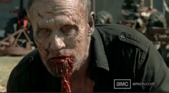Walking Dead Zombie Merle